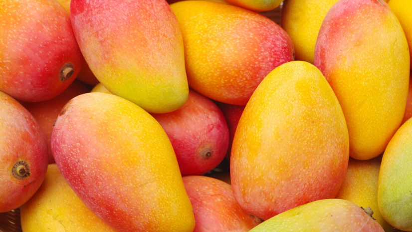 bea mango conserv.png
